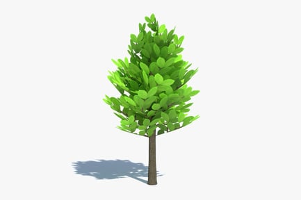 Preview: Small Cartoon Tree with Green Leaves