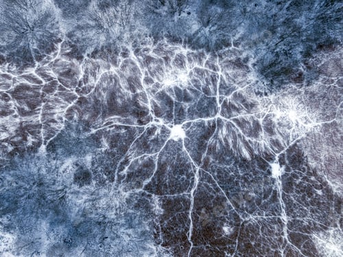 Preview: Flying above snowy wetlands and cold trees in winter.