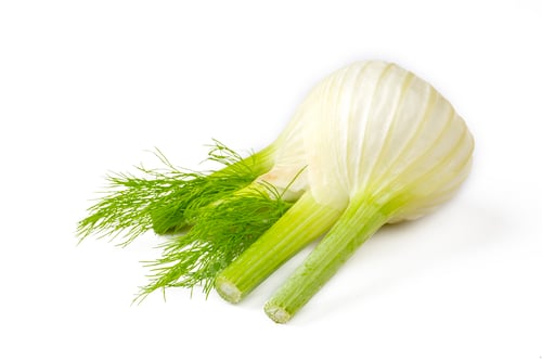 Preview: Fresh fennel bulb isolated on white background