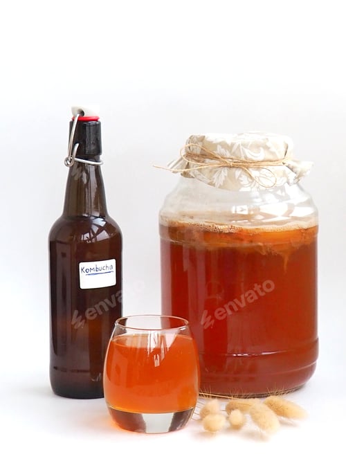 Preview: Kombucha, the healthy homemade carbonated drink in bottle and in glass, jar with scoby