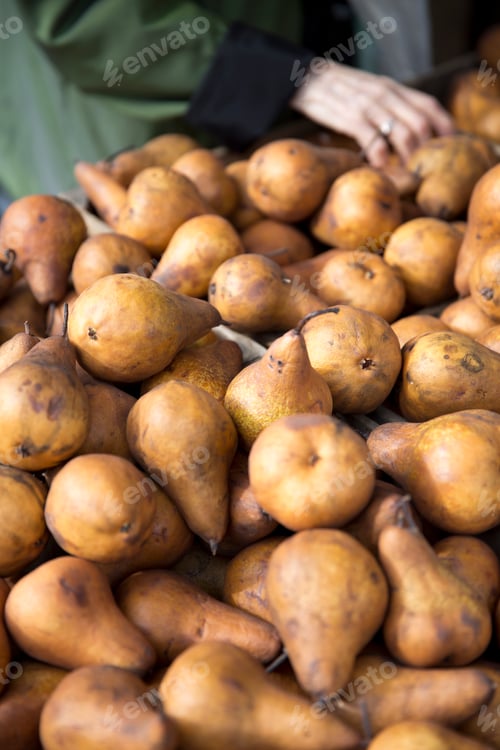 Preview: Picking out Bosc pears at a farmers market