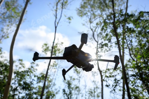 Preview: Flying drone in summer forest