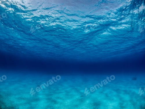 Preview: Breathtaking underwater scenery of the magical world of the ocean