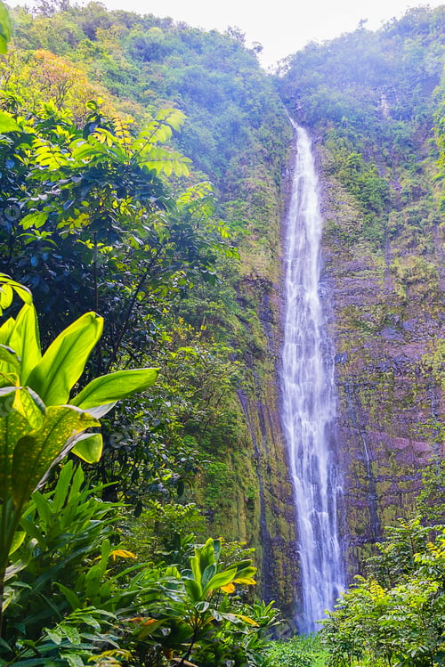Preview: Rainforest waterfall on tropical island.