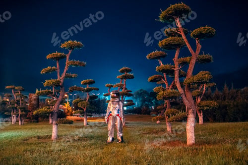 Preview: Spaceman standing in a park at night