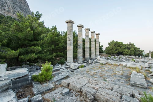 Preview: Columns of Priene