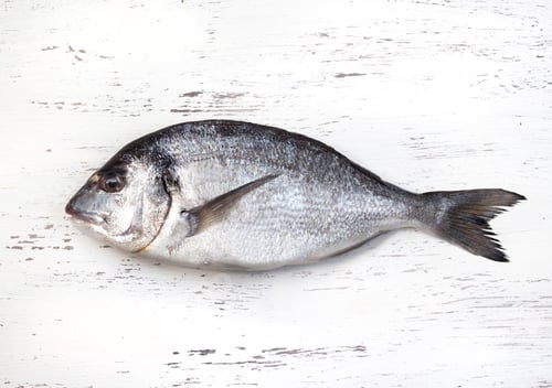 Preview: Fresh dorado fish
