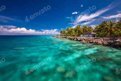 Preview: Tropical beach in Maldives with palm trees and vibrant lagoon