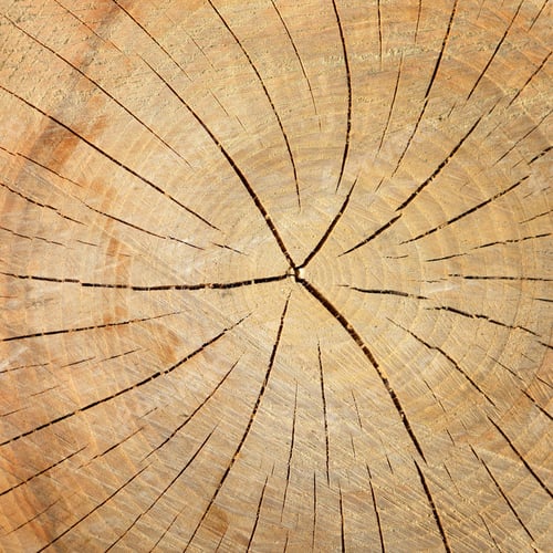 Preview: Wood texture of tree stump with cracks in brown tone for backgro