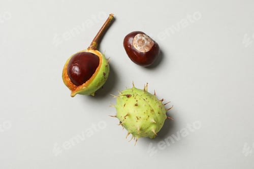 Preview: Fresh and ripe chestnuts, Autumn season chestnuts