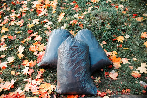 Preview: Garbage bags on the autumn lawn. Cleaning fallen leaves in the park