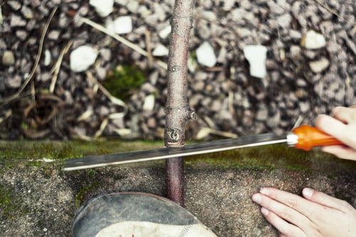 Preview: Overhead shot of a sharp knife cutting a tree branch