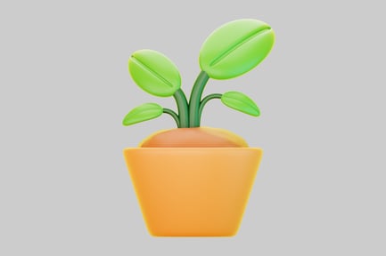 Preview: A young plant in a yellow pot.