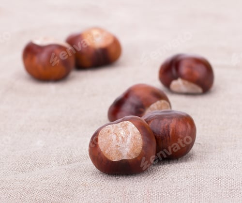 Preview: Chestnuts isolated on tissue background