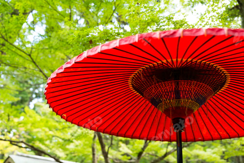 Preview: Red paper umbrella in park