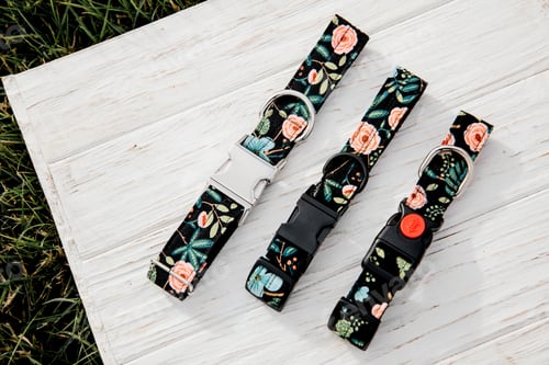 Preview: Dog Collar and Leash set. Pet Supplies and Walking Gear Collection