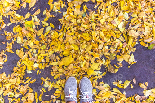 Preview: Grey shoes in the autumn leaves. Top view.