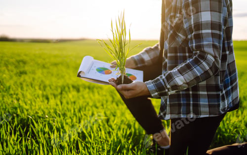 Preview: Hand of expert farmer checking soil health before growth a seed of vegetable. Agriculture, gardening