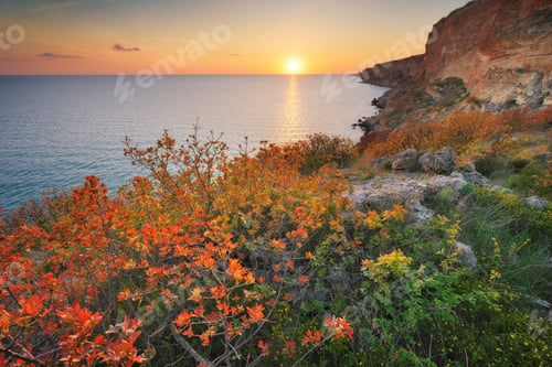 Preview: Beautiful spring nature and sea landscape.
