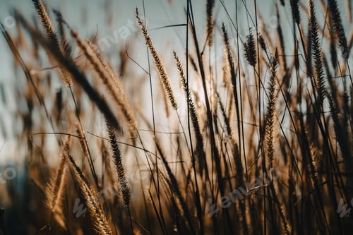 Preview: Soft focus a little wild flower in mountain outdoor field of nature landscape background in summer