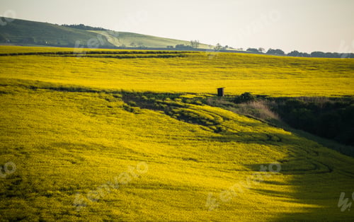 Preview: South Moravia landscape and farmland