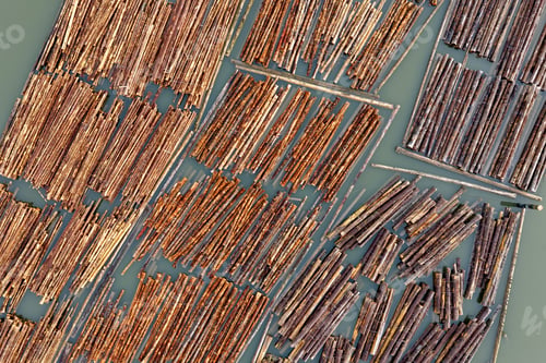 Preview: Aerial View of Dense Timber Piles Floating in Shallow Water, Log Rafts, BC Canada Coastal