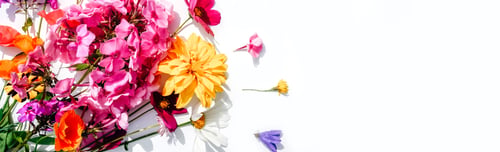 Preview: Flowers composition on white background with copy space.