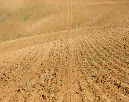 Preview: Aerial view of brown ground of field