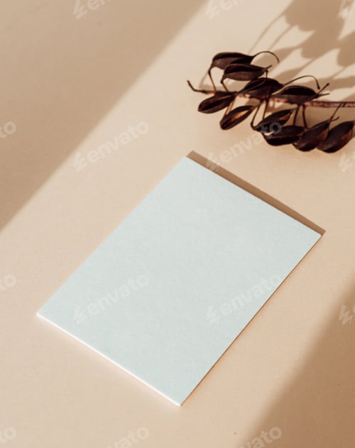 Preview: Two blank white cards, dry brunch on beige background