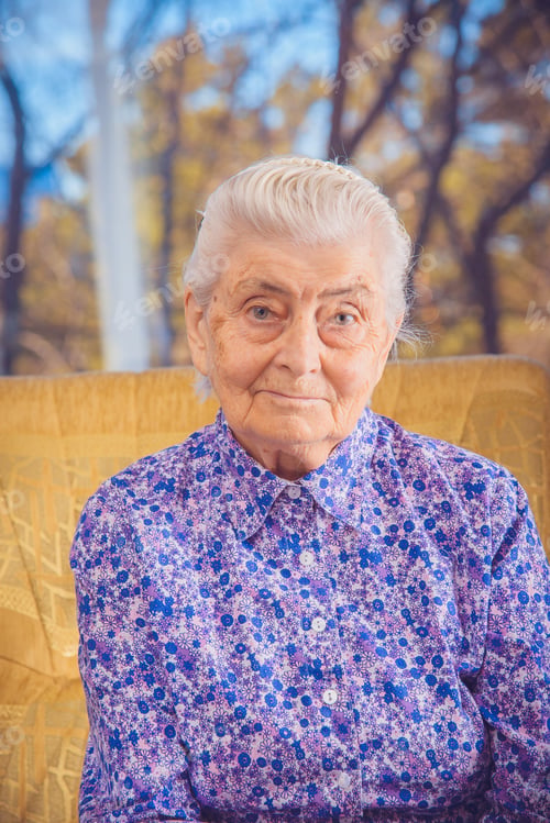 Preview: Portrait Of An Elderly Grandmother