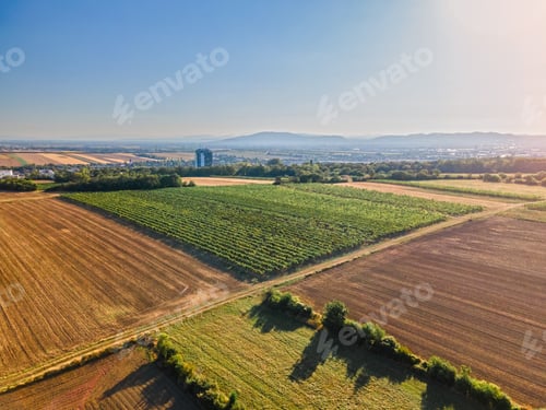 Preview: Drone view down on agriculture crop land with wheat fields and Vineyards in Vienna