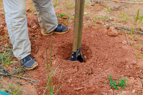 Preview: In process of digging fence post, man uses a hand post hole digger