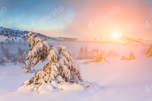 Preview: Snowy Winter Landscape at Sunset