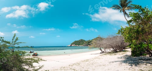 Preview: Tropical beach and coconut tree at koh tao