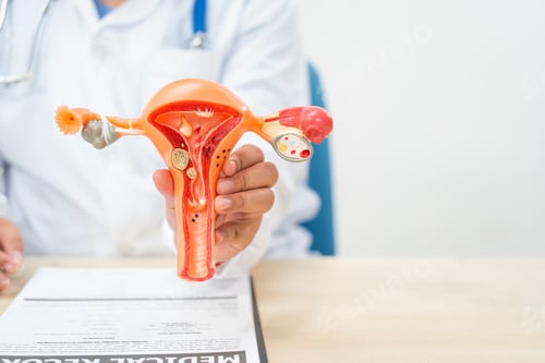 Preview: A female doctor sits at a desk in hospital explains about uterine conditions such as endometriosis
