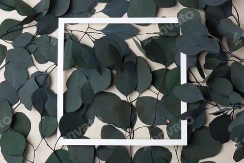 Preview: White frame with eucalyptus natural background. Flat lay, copy space.