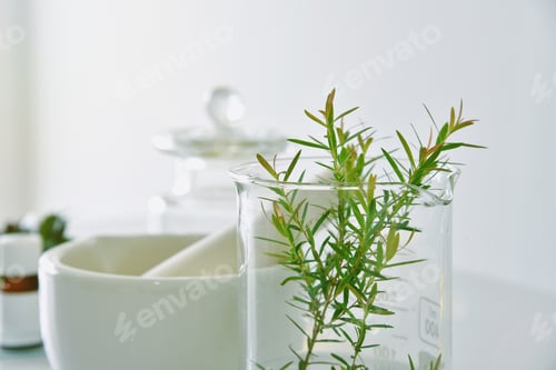 Preview: Natural organic botany and scientific glassware