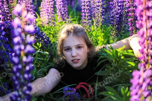 Preview: Beautiful young teenager girl in a field among blooming lupin, lupine, lupinus flowers in sunlight.
