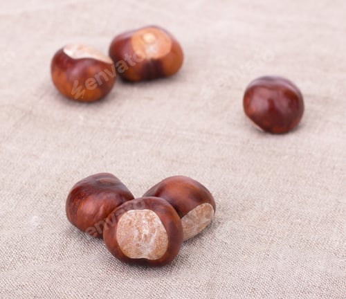 Preview: Chestnuts isolated on tissue background
