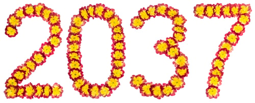 Preview: Inscription 2037, from natural flowers of primula, isolated on white background