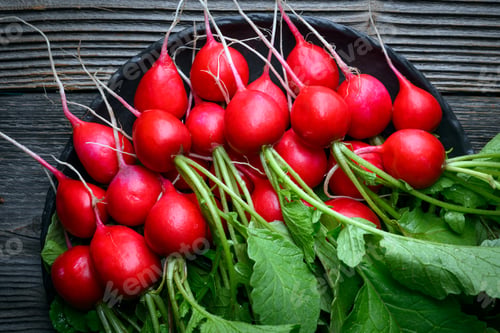 Preview: Red radishes with green leaves on black ceramic plate