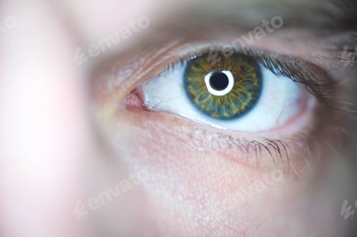 Preview: Closeup shot of a male brown eye