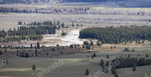 Preview: Trees, Land, river and Mountains in American Landscape.