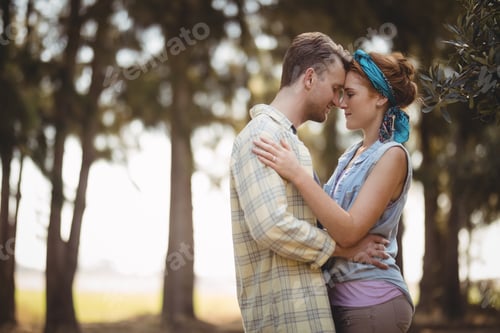 Preview: Young couple embracing at olive farm on sunny day