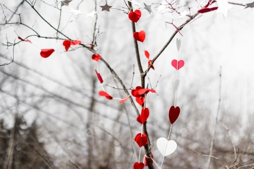 Preview: paper hearts. St. Valentines decorations in the park. Red and white hand made hearts. trees in the p