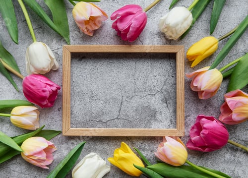 Preview: Spring tulips