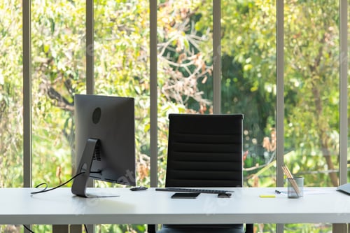 Preview: A large office with a computer of CEO and nature background