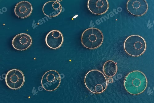 Preview: Aerial top drone view of fish farming in the clear waters of the sea.