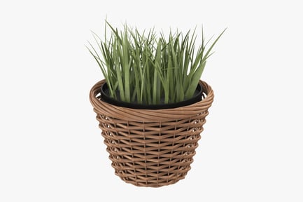 Preview: Wicker Basket with Potted Plant