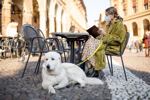 Preview: Woman in medical mask sitting with her dog at outdoor cafe in old italian city